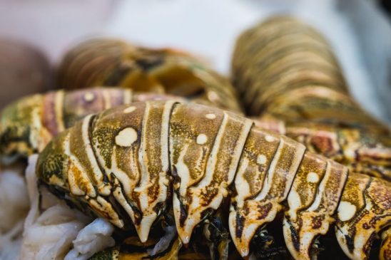 5 Mouth-Watering Recipes for Maine Lobster Tail