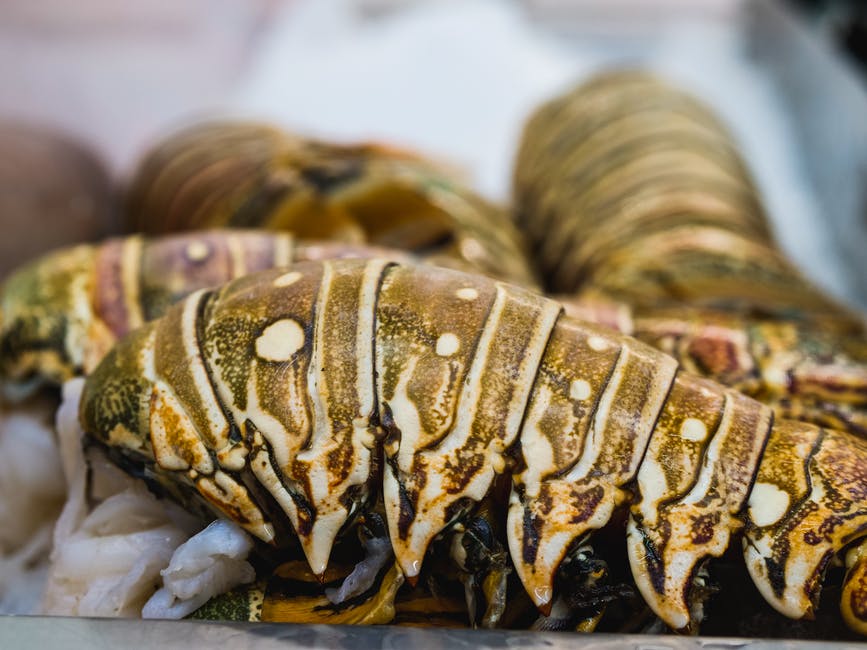 5 Mouth-Watering Recipes for Maine Lobster Tail
