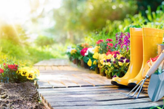The Brief and Only Garden Maintenance Checklist You’ll Ever Need